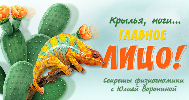 Юлия Воронина Крылья, ноги… главное лицо! Секреты физиогномики 2022 слив курса