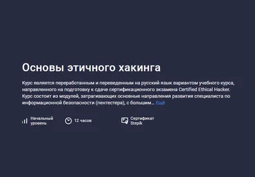 Александр Чумилин Stepik Основы этичного хакинга 2024 слив