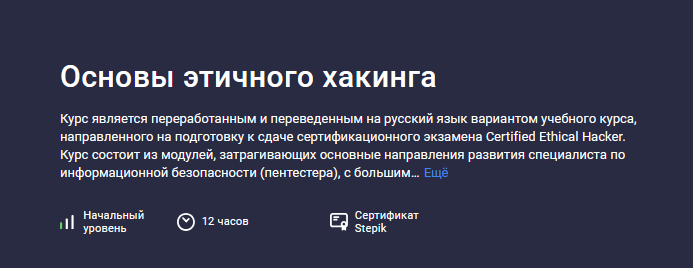 Александр Чумилин Stepik Основы этичного хакинга 2024 слив курса