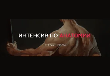 Интенсив по анатомии - Магай 2017 слив