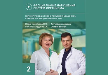 Васильева. Кирдогло Фасциальные нарушения систем организма. Семинар №2 2023 слив