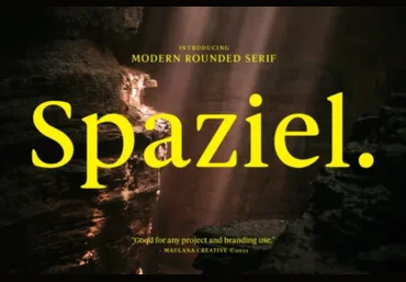 Fontbundles Spaziel Font 2021 слив