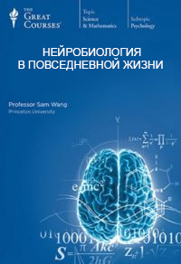 Нейробиология в повседневной жизни. Часть 1 - Вонг С. 2016 слив курса