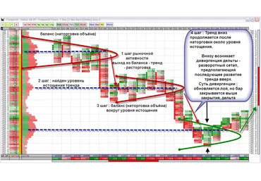 Инна Солнечная Low Risk Trader Скальпинг на основе чтения стакана и ленты слив