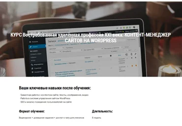 Seostayer Профессия: контент-менеджер сайтов на Wordpress 2021 слив