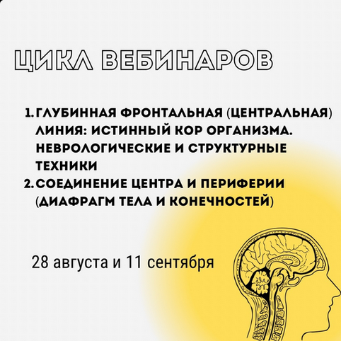 Александр Волоткевич Соединение центра и периферии: диафрагм тела и конечностей 2025 слив курса