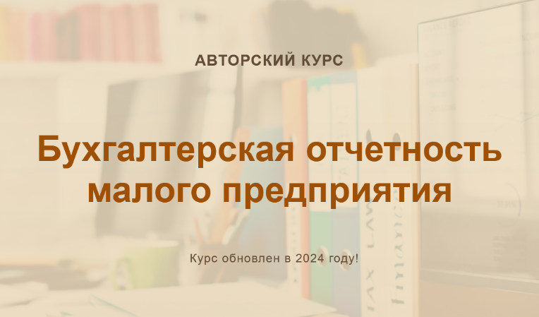 О. Шулова, В. Власенко Бухгалтерская отчетность малого предприятия. Конспект 2024 слив курса