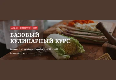 Novikov School Базовый кулинарный курс NS скачать слив