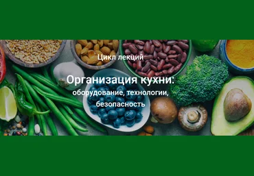 Елена Мотова Безопасность на кухне 2021 скачать слив