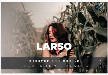 Elements.Envato Larso Desktop and Mobile Lightroom Preset 2021 слив