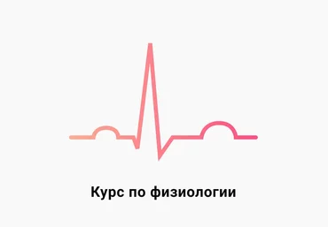 Medforyou - школа медицины Физиология 2023 слив