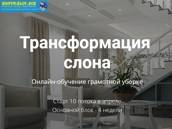 Татьяна Красильникова Онлайн-обучение грамотной уборке 2019 слив курса