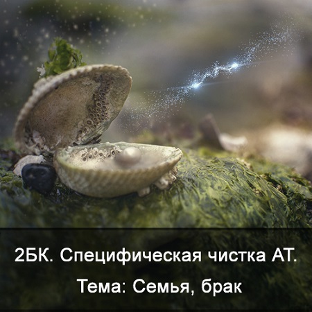 Ксения Меньшикова 2БК Специфическая чистка астрального тела. Тема - семья, брак 2021 слив курса