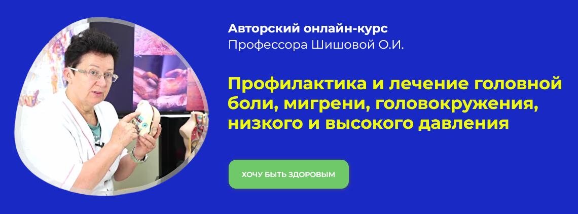 Ольга Шишова Профилактика и лечение головной боли, мигрени, головокружения, давление 2022 слив курса