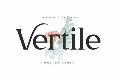Creativefabrica Vertile Font 2021 слив