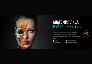 profileschool Анатомия лица. Мейкап и ретушь слив