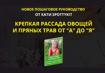 КАТИ SPOTTYKIT Крепкая рассада овощей и пряных трав от А до Я 2021 слив