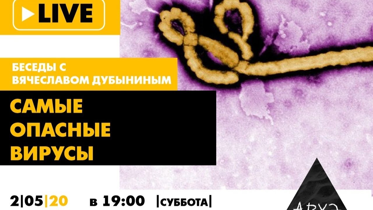 Вячеслав Дубынин Самые опасные вирусы оспа, Эбола и др. 2020 слив курса