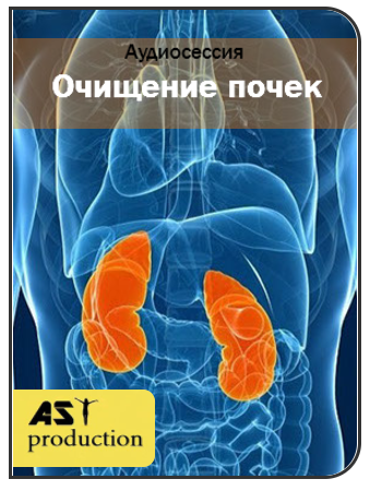 Очищение почек - AST production 2017 слив курса
