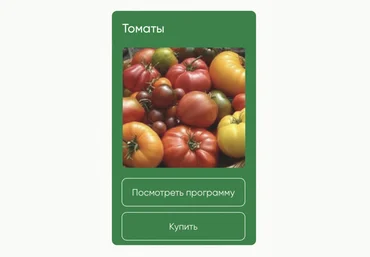 Школа нетипичного фермера Анна Акинина — Томаты 2024 слив