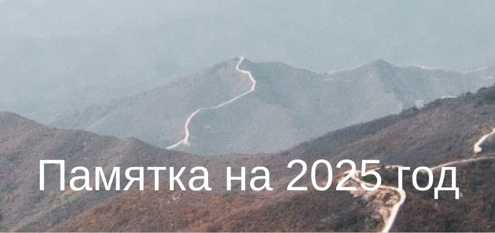 Юлия Бальсина Памятка на 2025 год 2024 слив курса