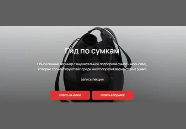 Юлия Катько Вебинар «Гид по сумкам» 2023 слив