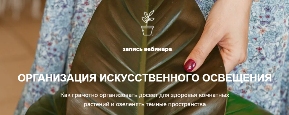 Наталья Серова Организация искусственного освещения 2022 слив курса