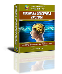 Нервная, сенсорная система и качество мышления программа для женщин - Ревенко 2016 слив курса